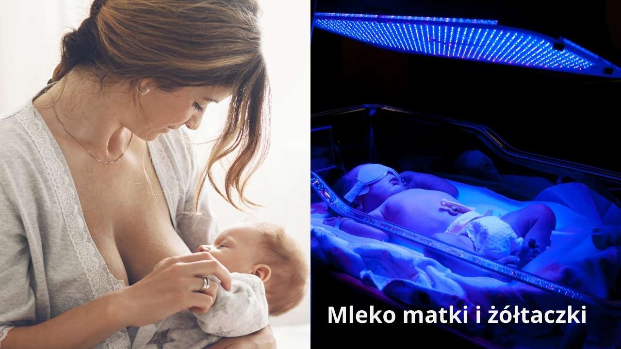 Mleko matki i żółtaczki