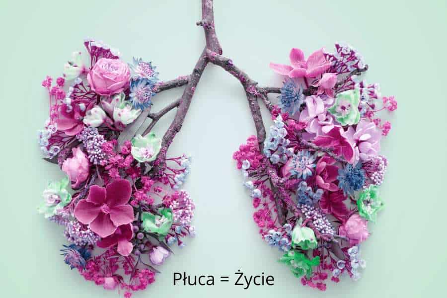 Wizerunek Płuc