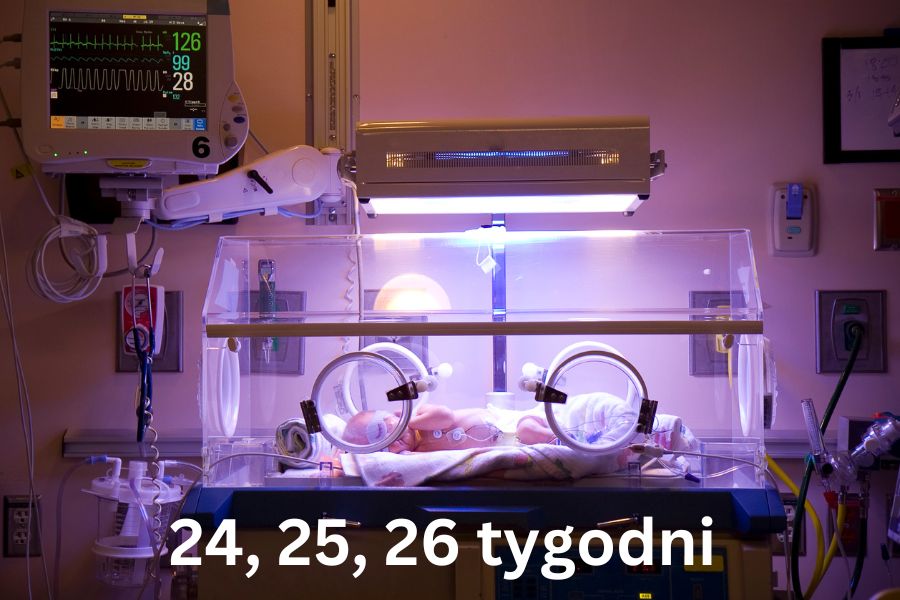 Wcześniak w inkubatorze