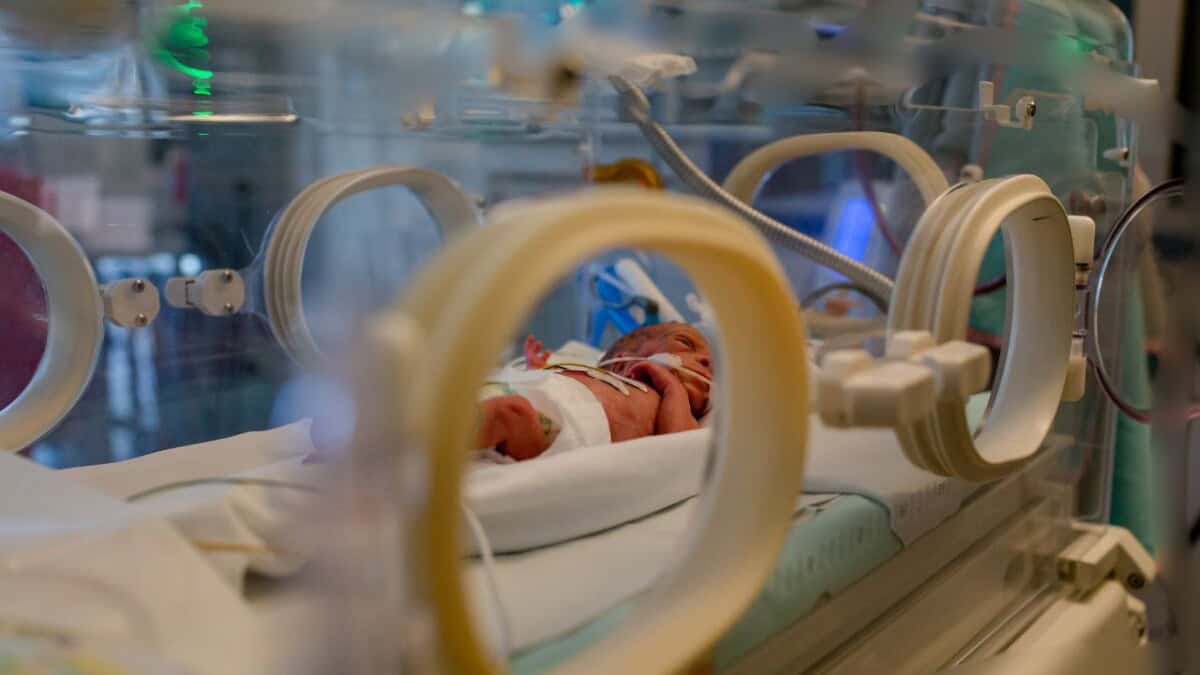 Noworodek w Inkubatorze